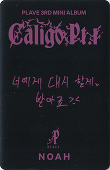 back:노아