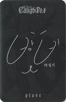 back:밤비