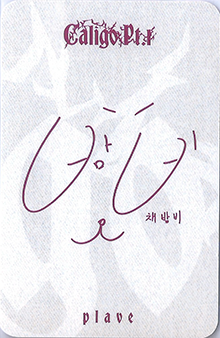 back:밤비