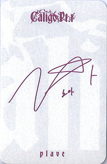 back:노아