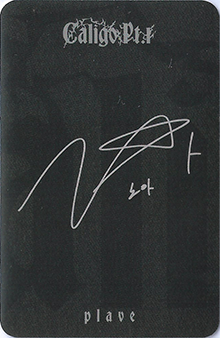back:노아