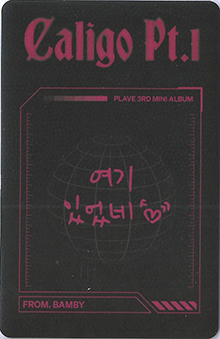 back:밤비