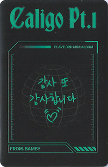 back:밤비