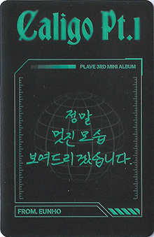 back:은호