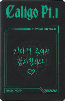 back:노아