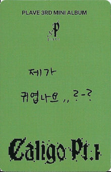 back:하민