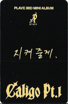 back:노아