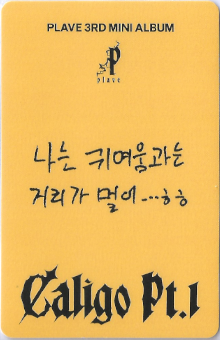 back:노아