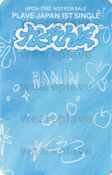 back:하민